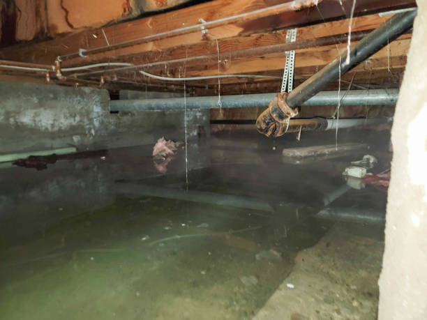 Best 24/7 water damage repair  in Forsyth, GA
