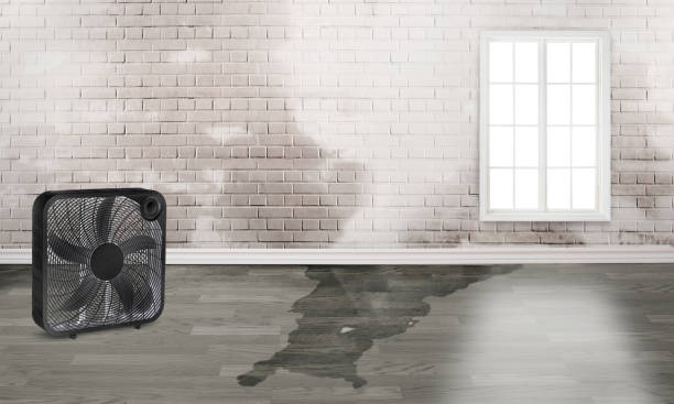Best Water damage restoration near me  in Forsyth, GA