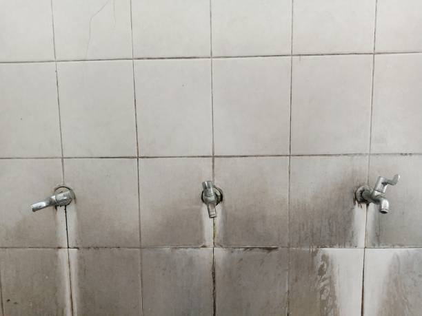 Best Sewage cleanup and water damage restoration  in Forsyth, GA