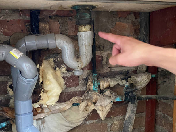 Best Flood damage cleanup  in Forsyth, GA