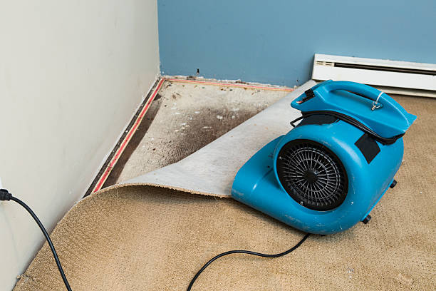 Best Flooded house restoration  in Forsyth, GA